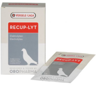 VL Recup-Lyth